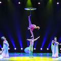 Antipodistes de la Troupe de Zhejiang